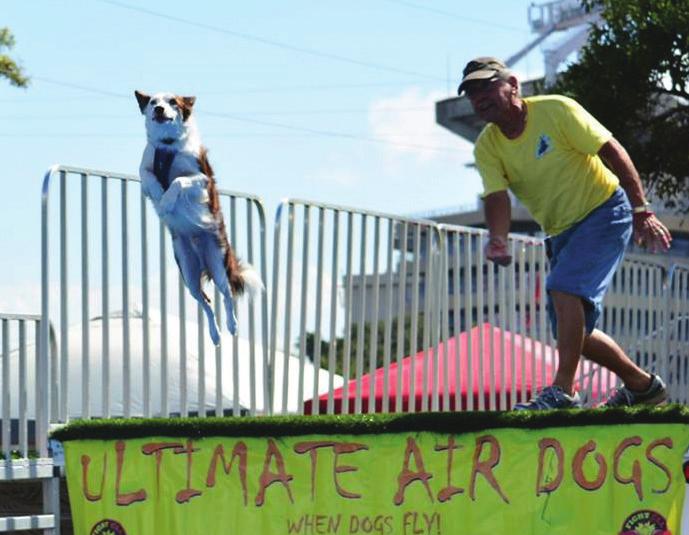 ULTIMATE AIR DOGS COMPETITION Presented