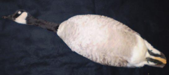 Canada Goose Black head and neck,