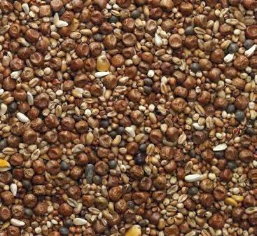 RACING PIGEON CORN MIXTURES BREED & WEAN JANUARY TO APRIL in protein No blue or white peas Small seeds for weaning Composition: