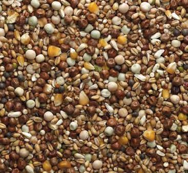 Safflower Seed and Mung Beans.