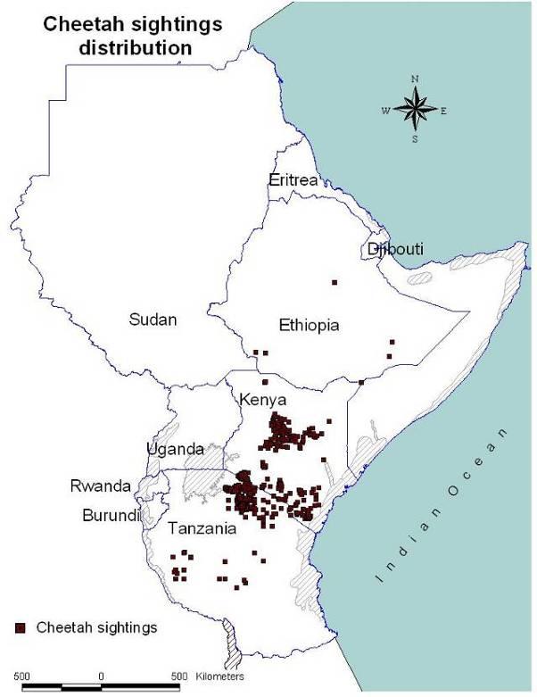 The highest cheetah densities have been recorded in wooded savannah (Caro, 1994; Marker et al., in press).