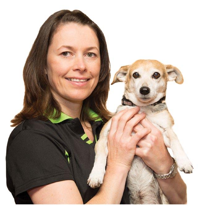 About Dr Megan Kelly Dr Megan Kelly is a veterinary surgeon with a post graduate certificate in veterinary rehabilitation. She is a veterinary acupuncturist and uses acupuncture daily on her patients.