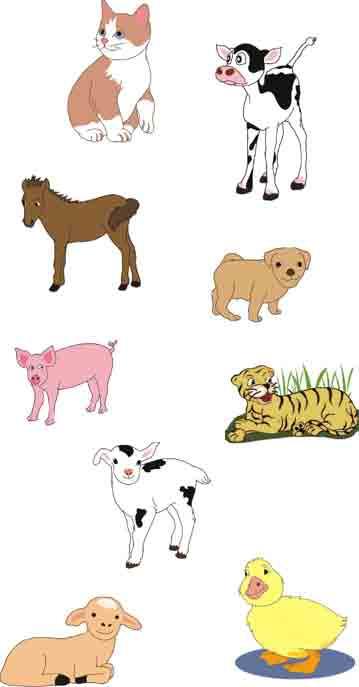 G R A P H IC Word building i. Match the animals with their young ones.