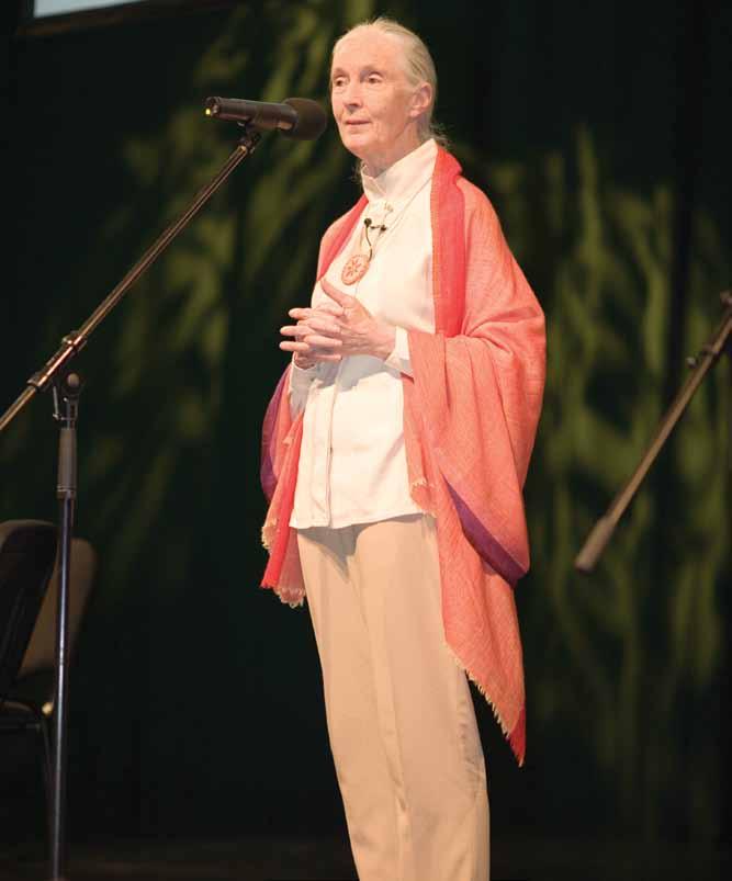 Jane Goodall continues to work as an animal