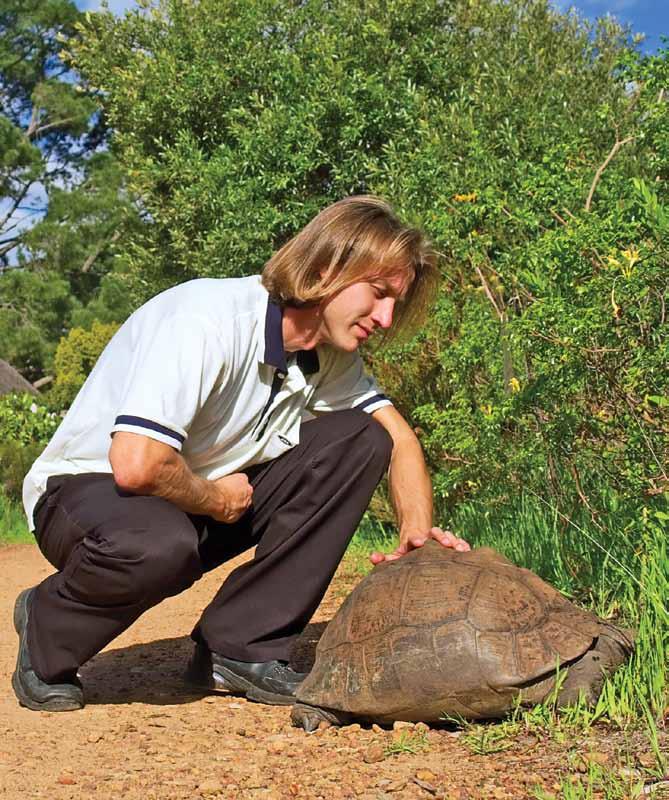 This zoologist is studying a turtle.