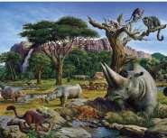 A history of life on earth Chapter 5 Important patterns in the history of life Climates and land masses have changed over time Taxonomic composition has changed There are periods of mass extinction