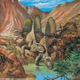 Ammonites, stalked echinoderms, brachiopods reduced Trilobites and many corals extinct Extinctions on land less pronounced The Mesozoic Era Divided into