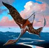 mammals Ichthyosaur: