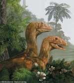 angiosperms Surviving dinosaurs diversify Seedless