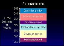 Cambrian period 542-489 mya Continents were flooded by