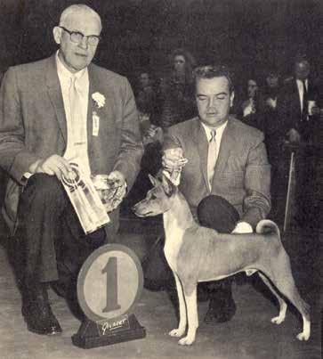 years, it was evident to me Marianne Klinkowski that the breed background of prospective judges had a lot of influence on their concept of a good Basenji.
