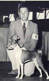Not long ago while reading the premium for the Santa Barbara Kennel Club s upcoming show I noticed a trophy being given to honor a true gentleman, Tom Stevenson, one of my favorite judges.