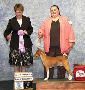 Update your web site so you can be the resource for Basenji breed information.