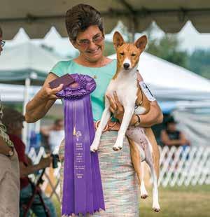 handled by Pat Cembura. Judy liked him so much she gave him Best of Winners in the Best of Breed competition.