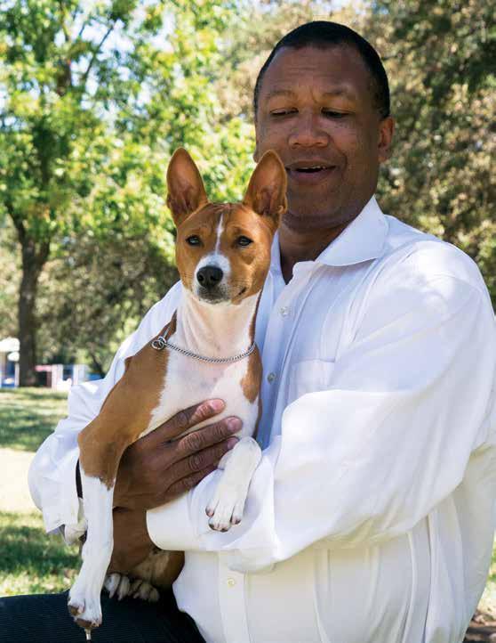 Jeraldeen acquired her first Basenji in 1963 from Ben and Frances Husbands on a breeders contract. She became active in obedience and later conformation under the Delahi Kennel name.