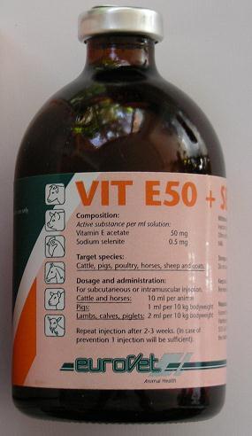 Vitamins/Minerals: Common products Vitamin E + Selenium Iron Dextran: