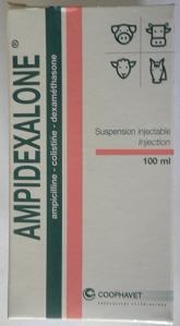 amoxicillin 