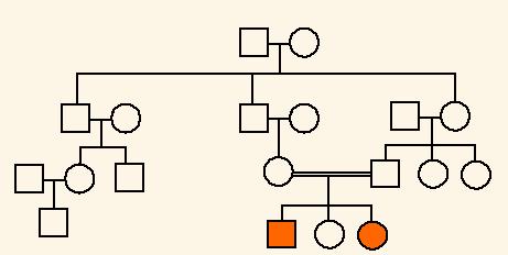 The pedigree to the right shows the passing on of Hitchhiker s Thumb in a family. Is this trait dominant or recessive? How do you know? How are individuals III-1 and III-2 related?