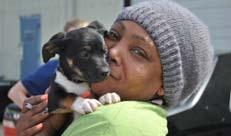 Things to Keep in Mind We can help people and their animals live happier lives without