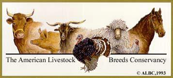 THE BASICS: BREEDS Heritage Breeds Allow you to participate in conservation of genetic and breed diversity