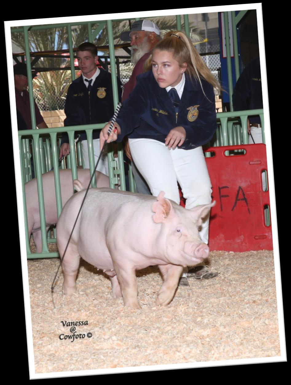 7. If an animal qualifies for the Supreme Champion Drive they will sell during the Sale of