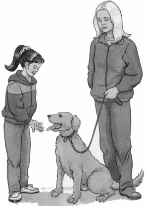 What to do when you meet a dog Most dogs want to be friendly, but you should be careful when you meet a dog you do not know. Dogs on leads People should not let dogs out into the street on their own.