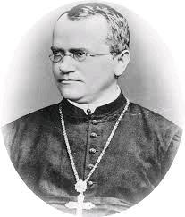History of Genetics Gregor Mendel Father of modern