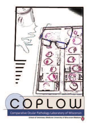 What is COPLOW? Founded in 1983 by Dr. Richard R.