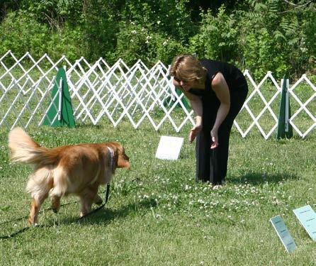 TEST 7: COMING WHEN CALLED This test demonstrates that the dog will come when called by the handler. The handler will walk 10 feet from the dog, turn to face the dog, and call the dog.