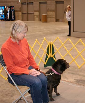 TEST 10: SUPERVISED SEPARATION This test demonstrates that a dog can be left with a trusted person, if necessary, and will maintain training and good manners.