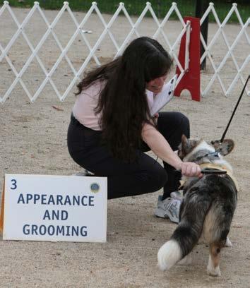 TEST 3: APPEARANCE AND GROOMING This practical test demonstrates that the dog will welcome being groomed and examined and will permit someone, such as a veterinarian, groomer or friend of the owner,