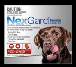 is the next-generation of flea and tick