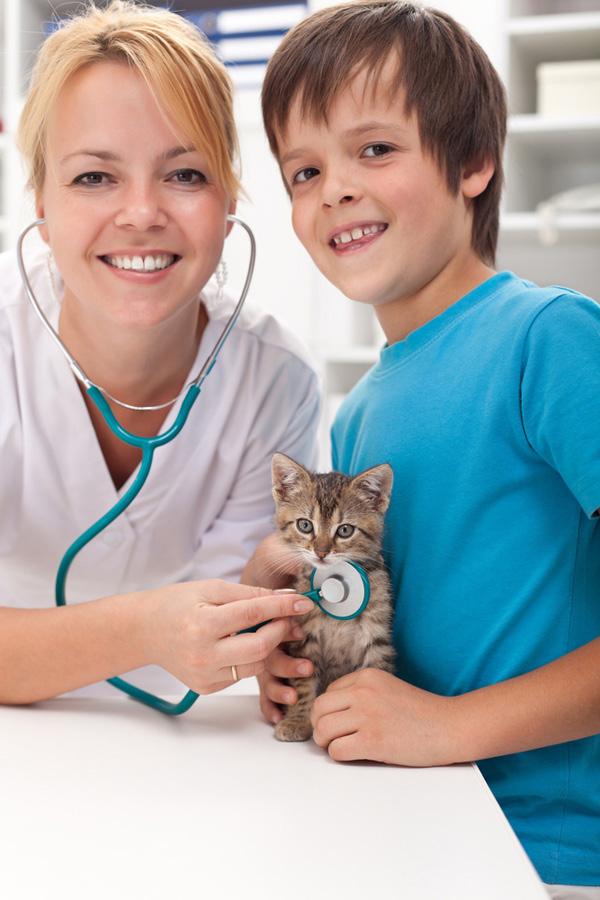 A veterinarian is a doctor of animal health who has trained at a university for at least six years and is licensed to provide medical and surgical care for animals.