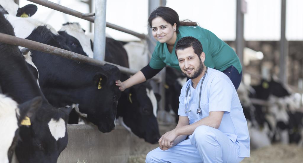 Medical services can include diagnosis and treatment of individual animals, and diagnosis, treatment, and preventive measures for livestock.