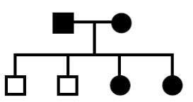 27. Could the following pedigree be inherited as a simple