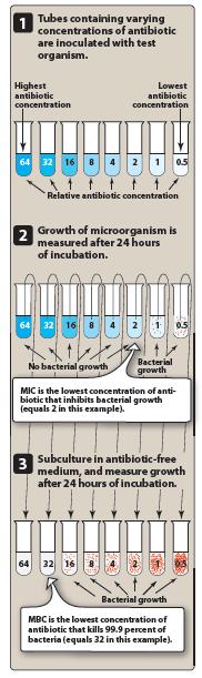 Minimum inhibitory concentration (MIC): the lowest concentration of antibiotic that inhibits