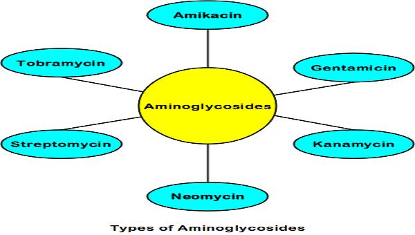 Aminoglycosides End with mycin except amikacin