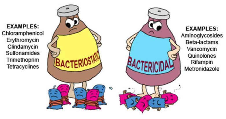 Definitions "Bactericidal agent" "Bacteriostatic agent -antimicrobial agent that affects bacteria by killing them, e.g. penicillins.