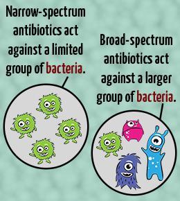 Definitions either Gram negative or Gram positive bacteria).