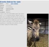 property Various provincial Animal Welfare Acts