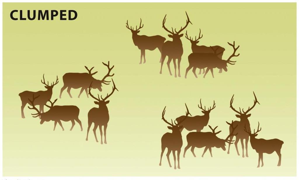 Populations fluctuate in size and have varied distributions Social species such as wolves, elk, and