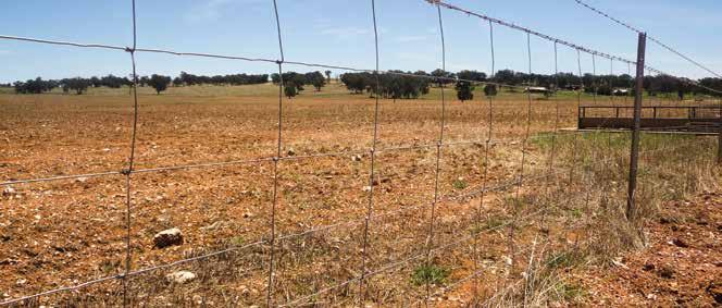 Queanbeyan - 02 6298 4999 Moss Vale - 02 4868 1211 Nowra - 02 4422 7788 HINGED JOINT FIELD FENCE TRADITIONAL Hinged Joint fencing is the most popular pre-fabricated fence used globally.