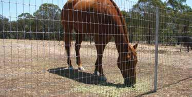 Small aperture vertical mesh specifically designed to prevent horses from injury through stepping through or walking down the fence.