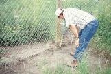 But for pheasant management it is not clear how to attract pheasants to a specific area, whether they would fly in and out of the fence, and whether their offspring