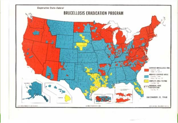 Brucellosis program 1957: 124,000 affected US herds Perhaps only 1/3 to ½ of