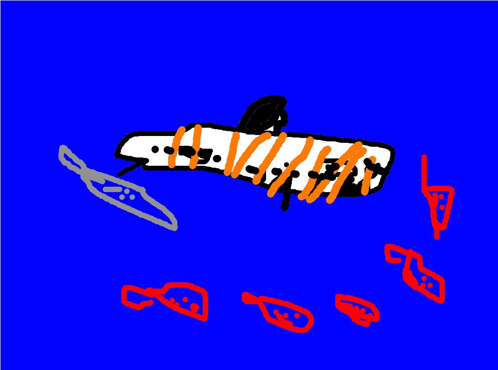 Amazing Shark By Nathaniel My amazing animal is the shark. It lives in oceans around the world. It is a carnivore and it eats seals, sea lions, tuna, and other sharks. It can weigh 5,000 pounds.