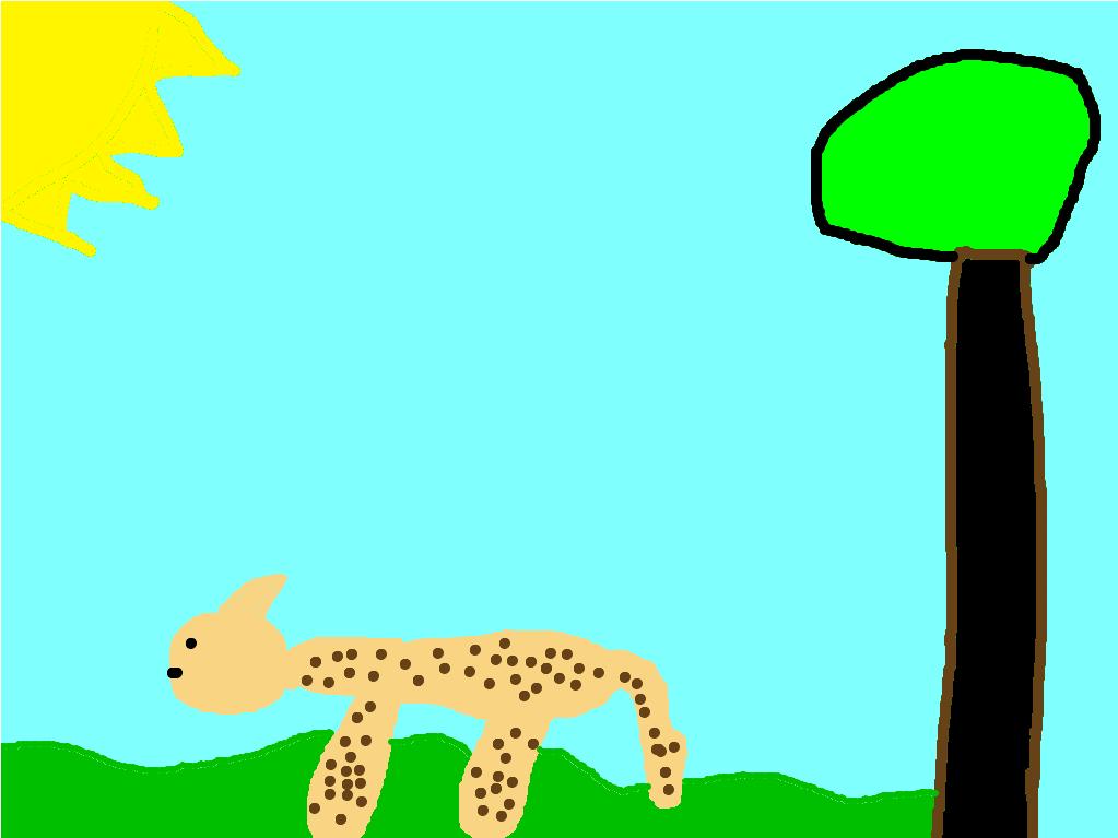 Amazing Cheetah By Luke My amazing animal is the cheetah. It lives in the grasslands of Africa. It is a carnivore and it eats antelope and gazelles. It can weigh 77 to 143 pounds.