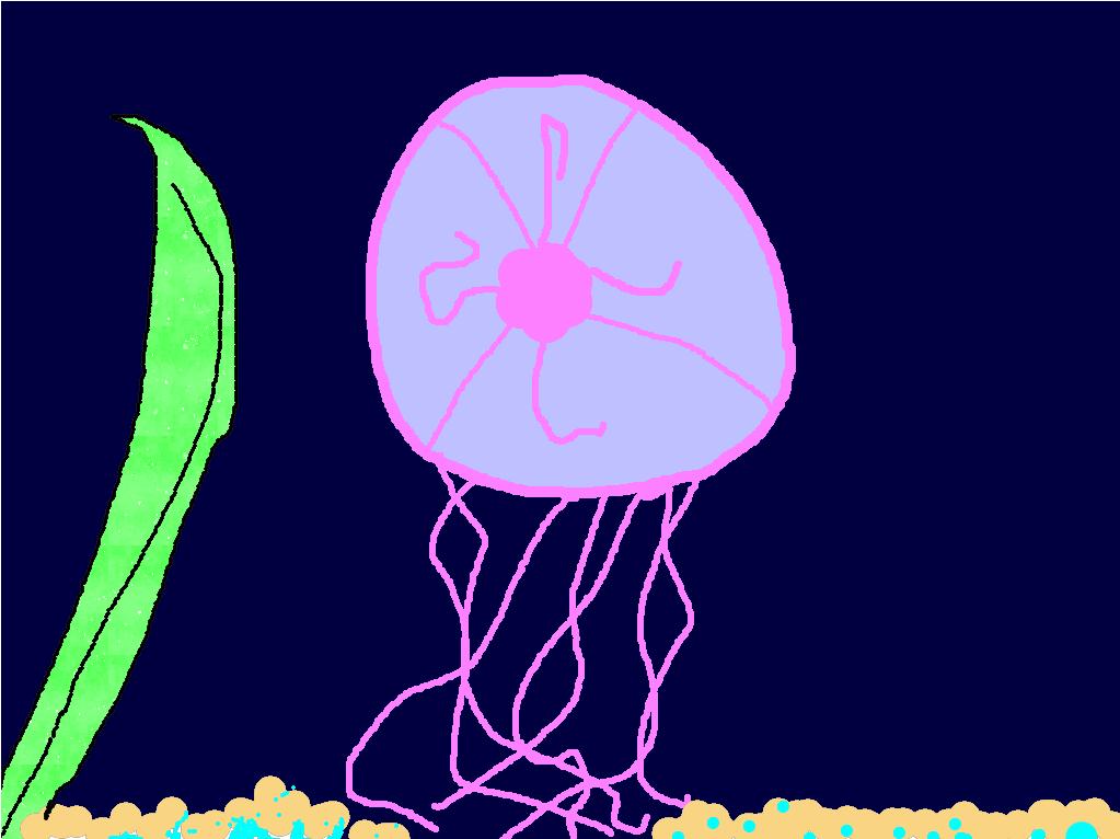 Amazing Jellyfish By Gabriel My amazing animal is the jellyfish. It lives in all the world s oceans. It is a carnivore and it eats plankton, crustaceans, and other small ocean creatures.