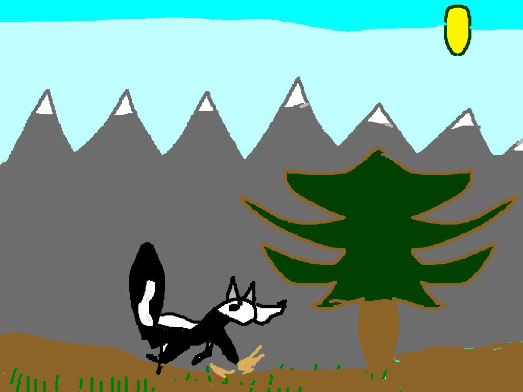 Amazing Skunk By Molly My amazing animal is the skunk. It lives in forests in North America. It is an omnivore and it eats fish, leaves, and fruit. It can weigh 3 to 10 pounds.