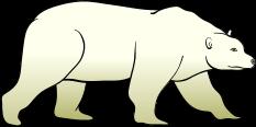 Polar bears live in the arctic habitat with other animals like